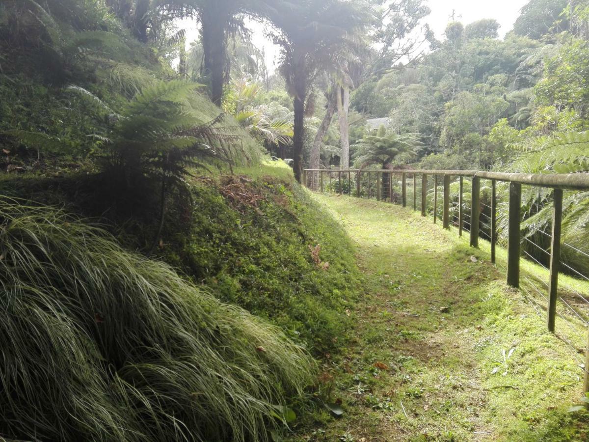 Taranaki Experience Apartment New Plymouth Exterior foto